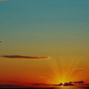 New Day