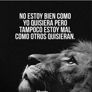 No hay tregua