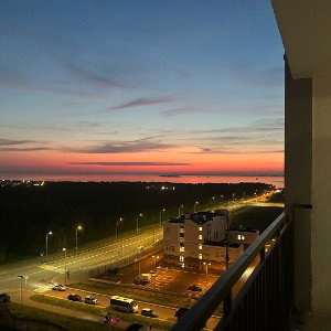                     Тёмный лес