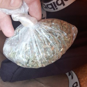 178ers Crazy.€ (  rein oder raus) ohne Polizei fick Polizei  🚔 
