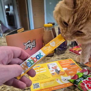 A rap by our cat