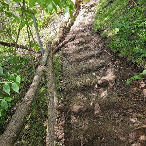 The path