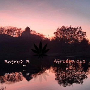 Entropie ft. afrodiziaka the True Levitaty
