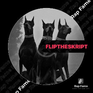 flip the skript