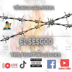 tecnica callejera ..