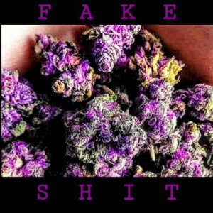 !Fake Shit!