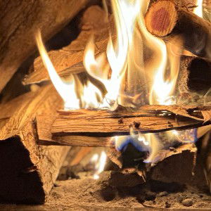 fires never die 
