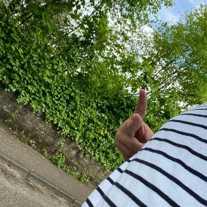 Preusseur on the woud 