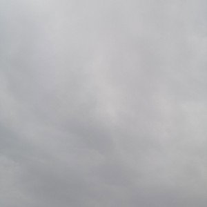 ты меня оживило сваи взглядом 
