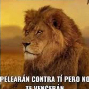 el a sido el mesías prometido 
