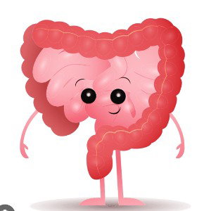 bowels
