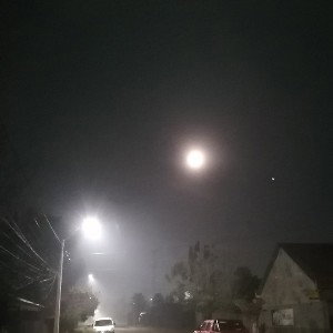 salvaje x la noche 
