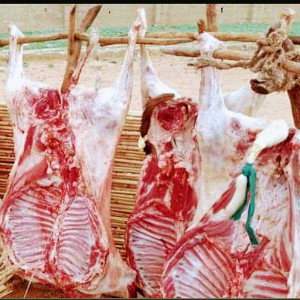 MRapa_Shagali_Barka_Da_Sallah