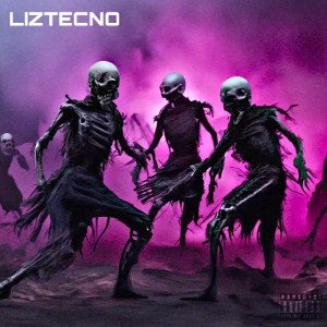 LIZTECNO