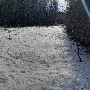 Скользкий путь.