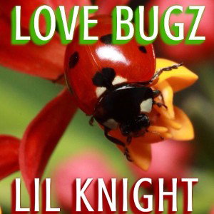 LIL KNIGHT-(LOVE BUGZ 🐞)