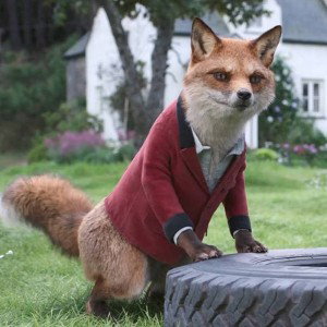 Mr fox