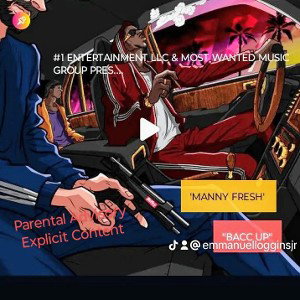 #1: "ZIG ZAG" (SECURE DAT BAG 💰)
