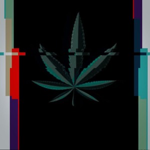 Exotic_2¥-TRUE LOVE🍃🖤(2nd Verse DISS)