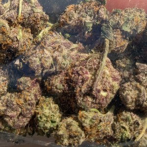 DEAD POET (DA MAFIA DON)-Blaze the Weed