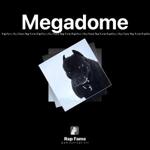 Megadome