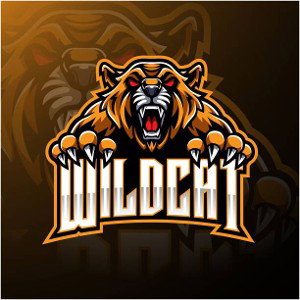 Wildcat 😾