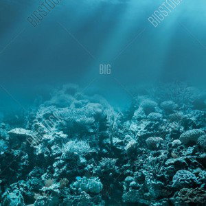 Down In The Blue - DM