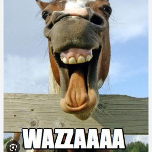 👉WAZZAAAA👈🤪