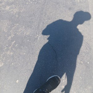 Freestyle