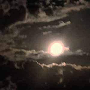 Бит_Дня_15