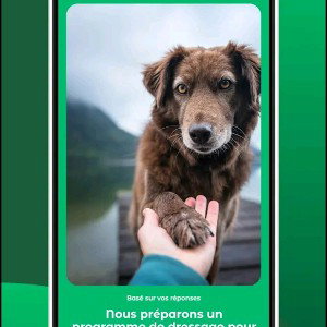 il a tu tué mon chien 🐕