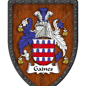Gainz Never looze- Leo HighPurpose 
