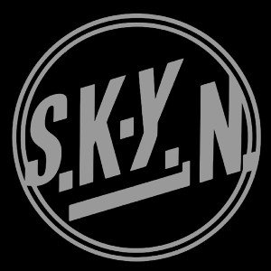 S.K.Y.N - Along for the ride " freestyle"