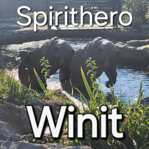 Spirithero - Winit
