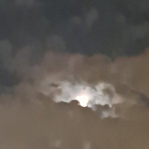 Mcthoon Mcthoon - Monutmental