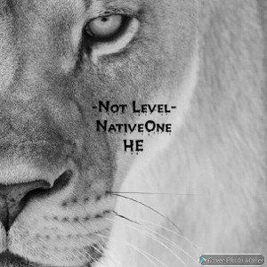 NativeOne HE - Not Level 2024-09-12 01_11