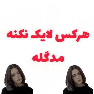 هرکس لایک نکنه مدگله