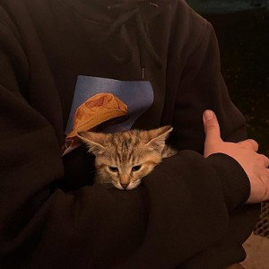 Милая моя