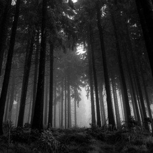 Noir obscure