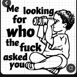 stuck on stupid