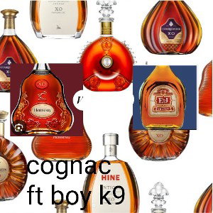 cognac ft boy k9
