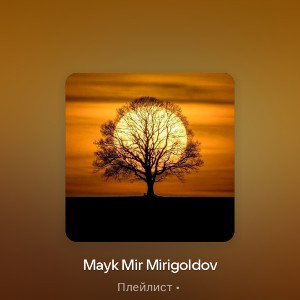 Maik Mir судьба