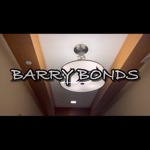 Barry Bonds