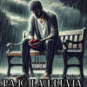 BAJÓ LA LLUVIA