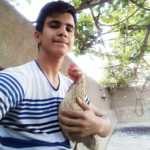 عکس سینا ارنا