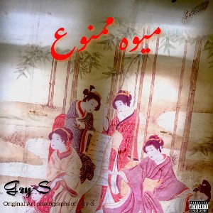 MIVEH MAMNOO (Gzy-S)