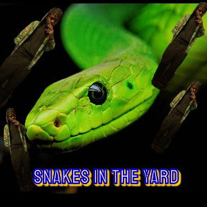 Snakes In The Yard