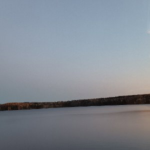Oikee ystävä