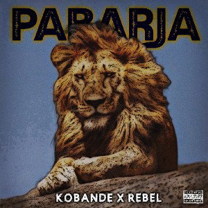 Pabarja