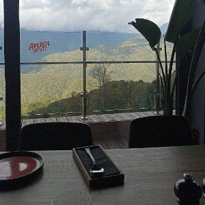 регги дэмо